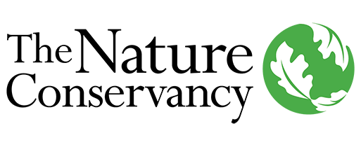 Client logo placeholder 12